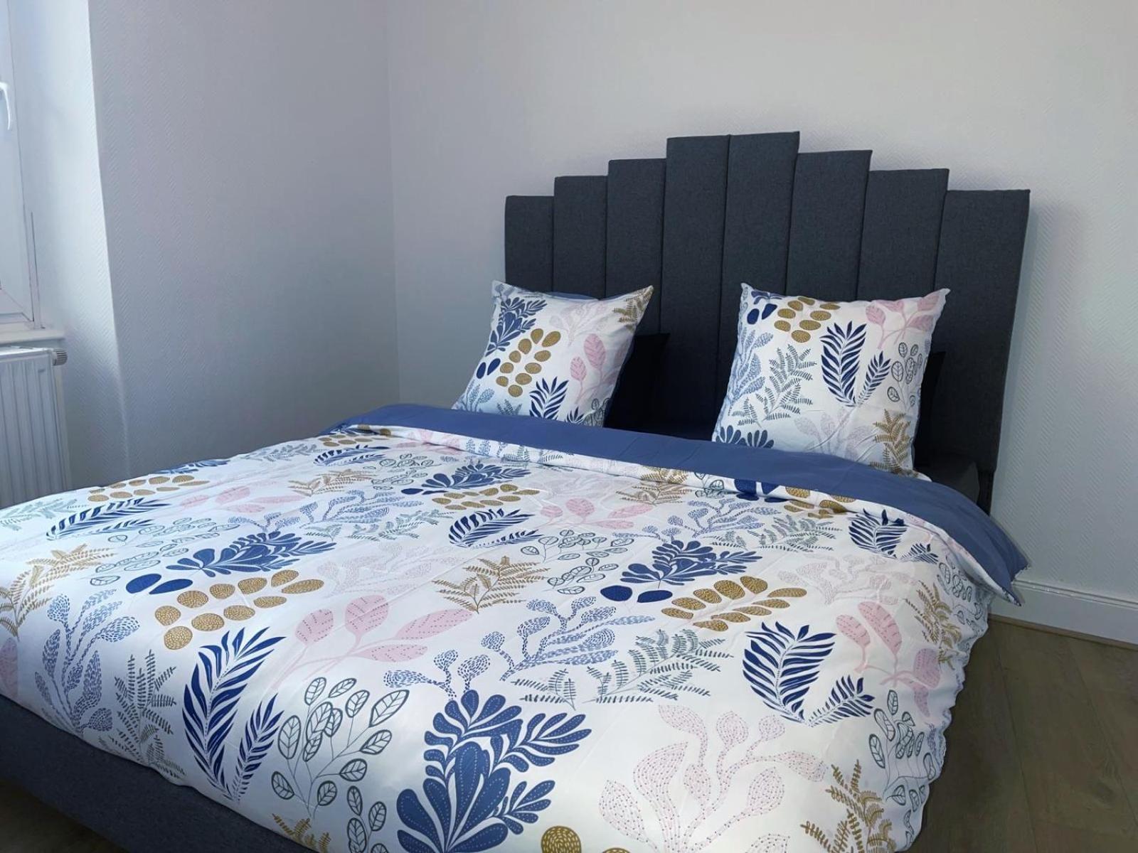 Magnifique Appartement Charmant T3 80M2 Parking Gratuit Rosheim المظهر الخارجي الصورة